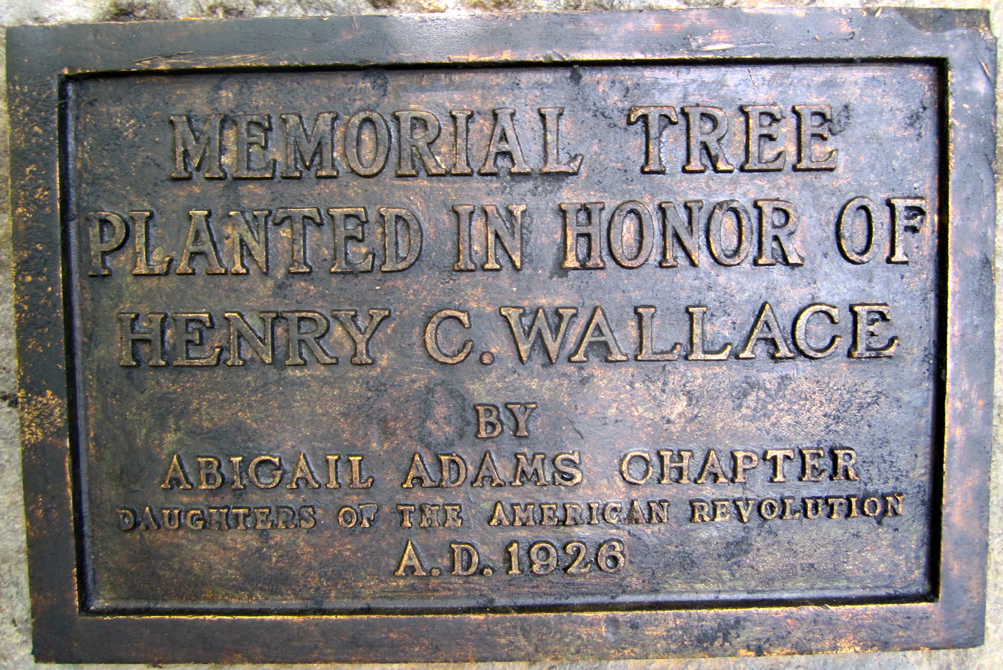 plaque Wallace Tree