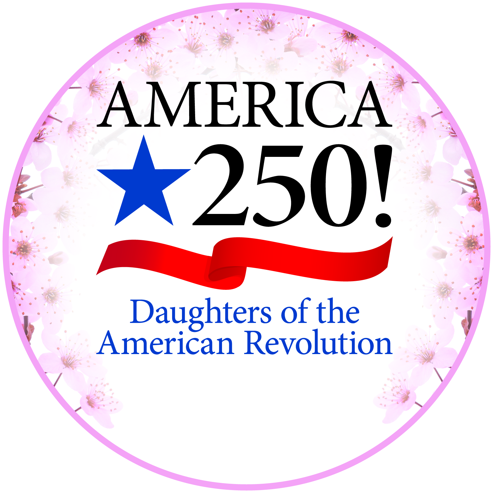America250 logo