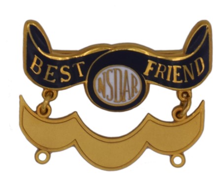 best
                                  friend pin