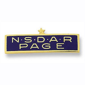 NSDAR Page pin